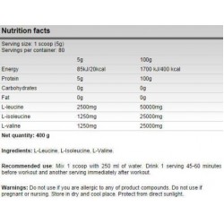 FA Nutrition Xtreme BCAA 5000 - 800 gr